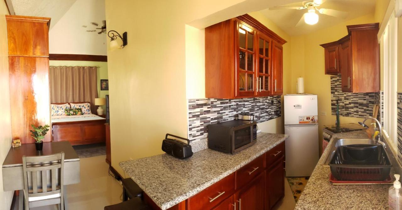 Irie Hideaway - Private Studio In Gated Community --Caribbean Estates, Portmore Apartment Luaran gambar